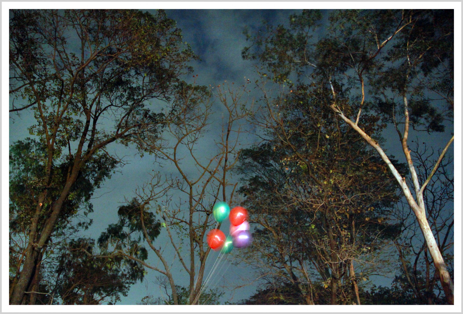 จอด, ถนน, สีน้ำเงิน, สีแดง, สีขาว, ถนน, ต้นไม้, สีเขียว, สี, สีเหลือง, Canon, บอลลูน, ความเหงา, สี, ลม, บอลลูน, streetphotography, ความฝัน, dhaka, แนวความคิด, bp, ประสาทหลอน, บังคลาเทศ, shahbag, บังคลาเทศ, ทาชิน, apurbo, Agaz, bangladeshiphotographers, kazitahsinagazapurbo