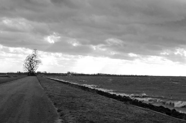 sea,storm,light,cloud,Sun,white