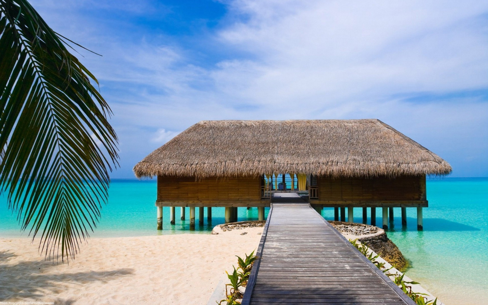 Fond d’écran : mer, baie, plage, côte, palmiers, recours, île, lagune