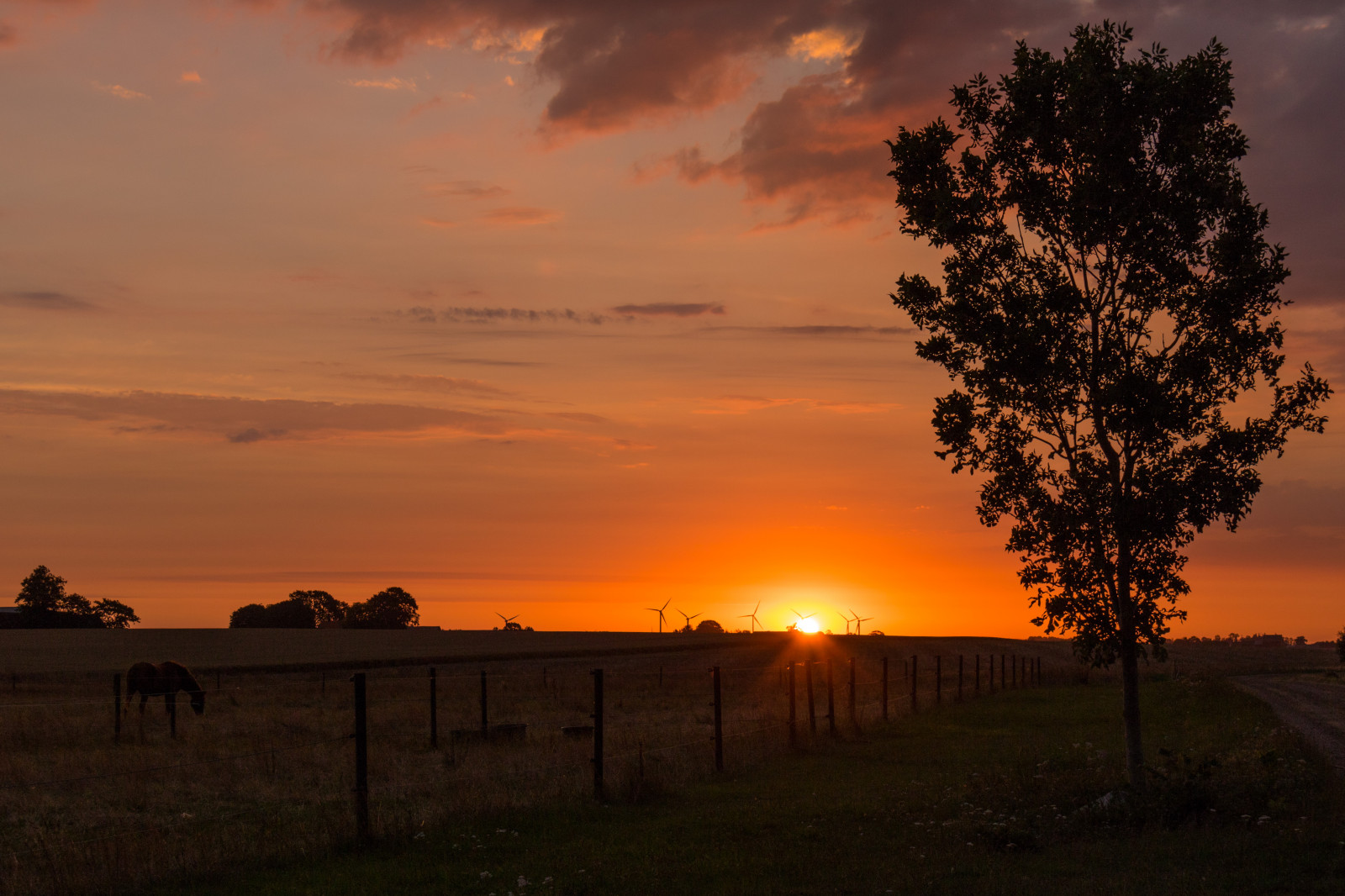 Sonnenlicht, Landschaft, Sonnenuntergang, Natur, Himmel, Feld, Sonnenaufgang, Abend, Morgen, Sonne, Horizont, Dämmerung, Wolke, Baum, Dämmerung, Himmel, Landschaft, Geschmolzen, Landschaftlich, Solution, S dersl tt, Landkap, Exif Modell canoneos760d, Geocountry, Kamera macht canon, Geocity, Kameramodell canoneos760d, Geostate, Geolocation, Exif linse efs18200mmf3556is, Exif machen canon, Exif isospeed 100, Exif Blende 71, Exif focallength 35mm, Morgon, Ebene, Atmosphärisches Phänomen, Nachglühen, Roter himmel am morgen, Savanne