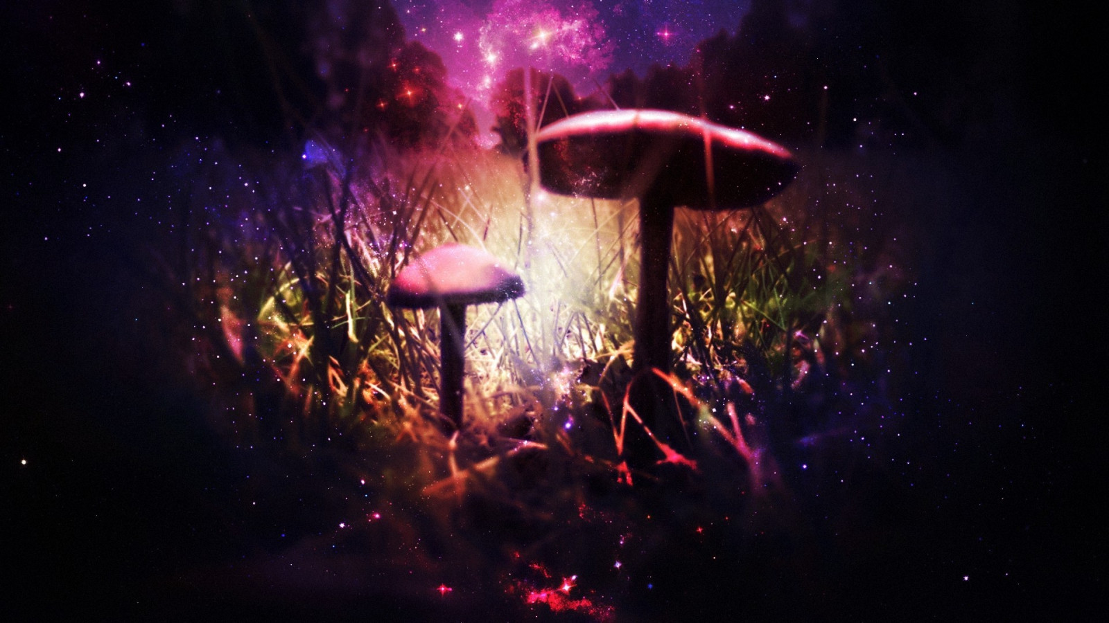 krajina, noc, zábava, světlo, představení, fáze, tma, koncert, 1920x1080 px, hudební divadlo, rockový koncert, múzických umění