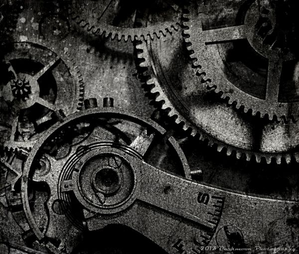 texture,lighting,macro,dark,moody,time
