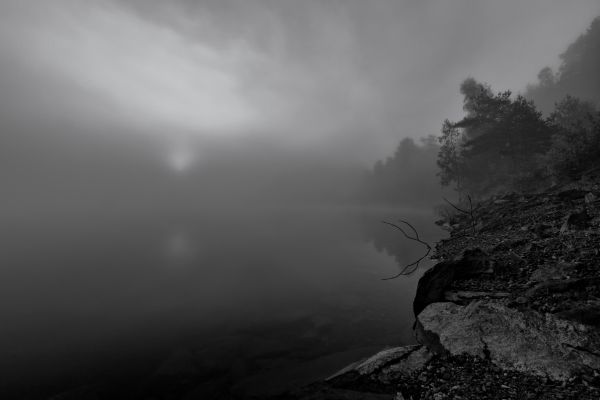 landscape, forest, 500px, sunlight, monochrome, hill