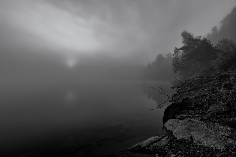 sunlight,landscape,forest,monochrome,500px,hill