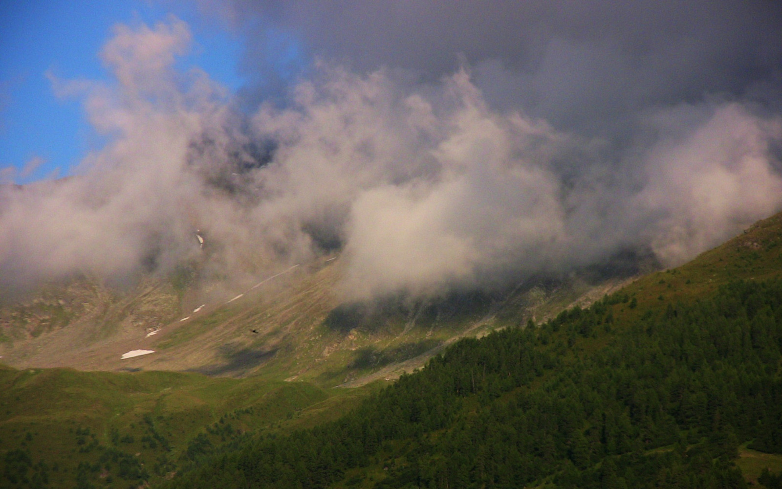 landskab, Skov, bakke, natur, træ, morgen, tåge, brand, Østrig, plateau, løbeild, Sky, tåge, rejse, Landschaft, bjerg, vejr, udforske, naturaleza, paisaje, natur, felter, berg, geotagget, natureplus, Berge, reise, urlaub, Osterreich, roba66, Nebel, Gebirge, atmosfærisk fænomen, atmosfære af jord, bjergrige landskabsformer, landskabsform, geografisk funktion, geologisk fænomen, bjergkæde, Hohe Tauern, Kals, Tauern, Großglockner, kalsamgrosglockner, urlaub2010, kalsgrosglockner