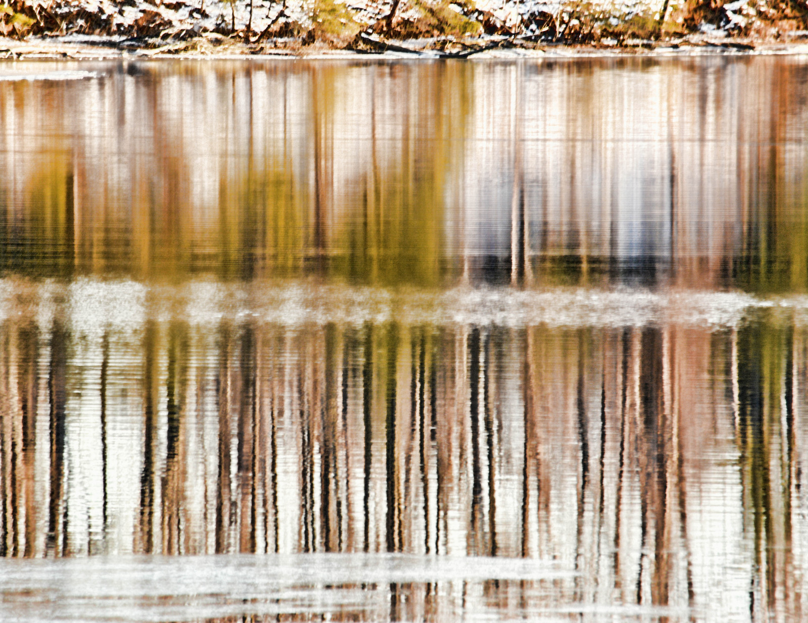 Wallpaper : sunlight, water, nature, reflection, wood, branch, ice ...