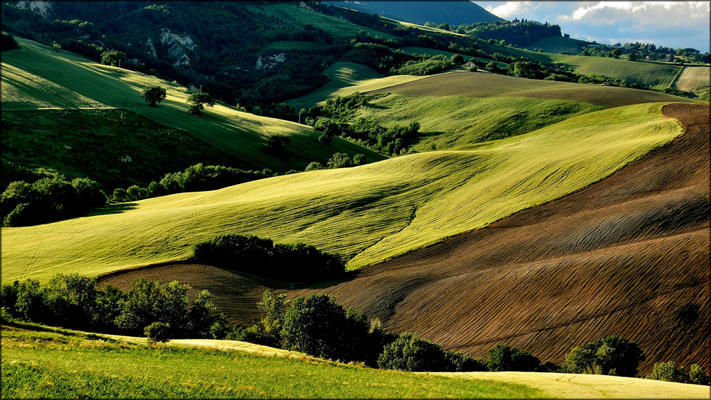 อิตาลี, เวิร์ด, สีเขียว, primavera, ธรรมชาติ, ฟิลด์, แนวนอน, Nikon, ทัศนียภาพ, ซาน, อิตาลี, ดิบ, ประเทศ, natura, Severino, campagna, coolpix, Marche, paesaggio, sping, macerata, Campi, Treia, pitino, platinumheartaward, p330, mygearandme, mygearandmepremium, mygearandmebronze, mygearandmesilver, mygearandmegold, mygearandmeplatinum, mygearandmediamond, กะพริบตา