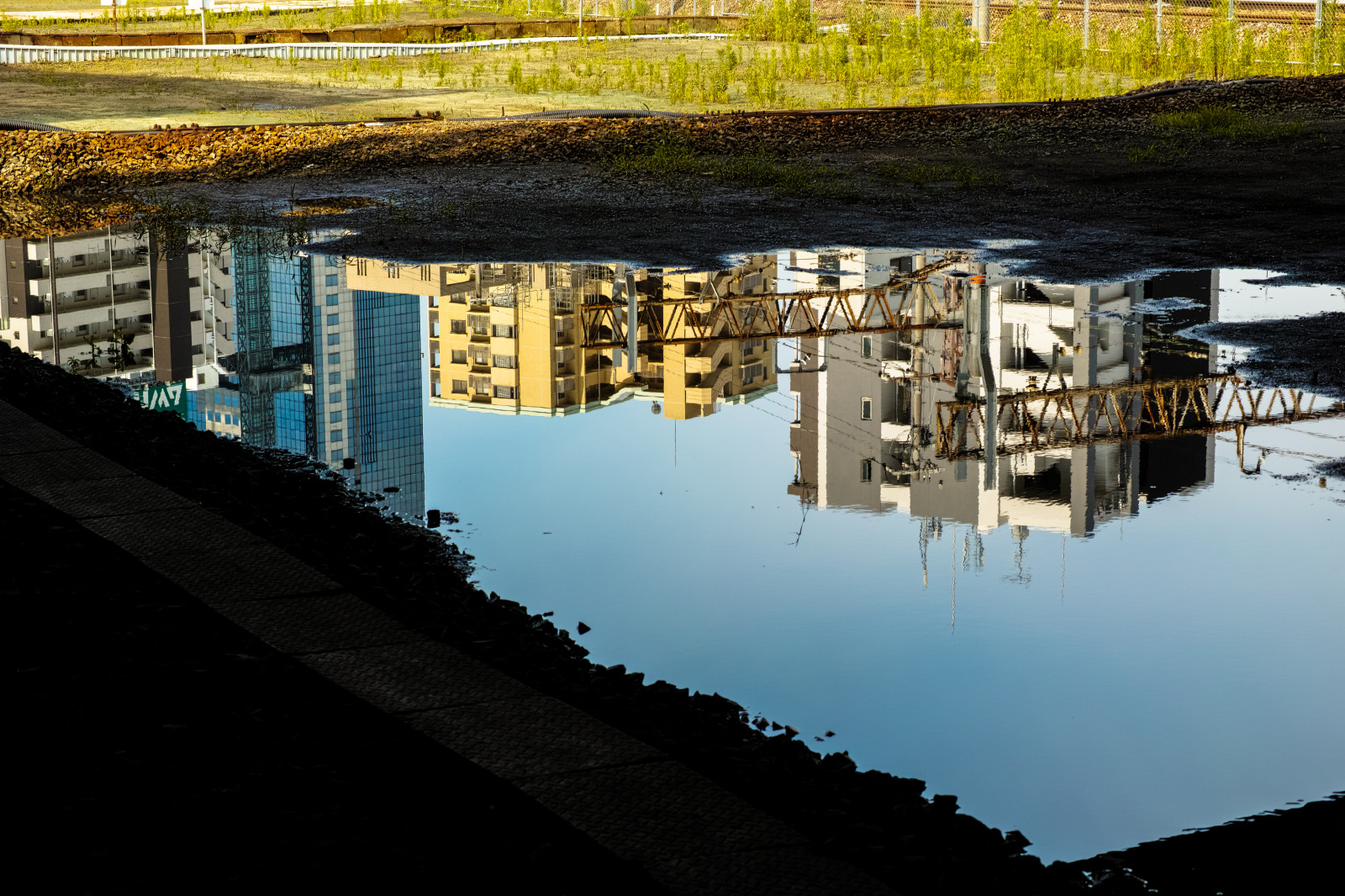 sigma, dp, Foveon, Quattro, DP3, dp3quattro, dp3q