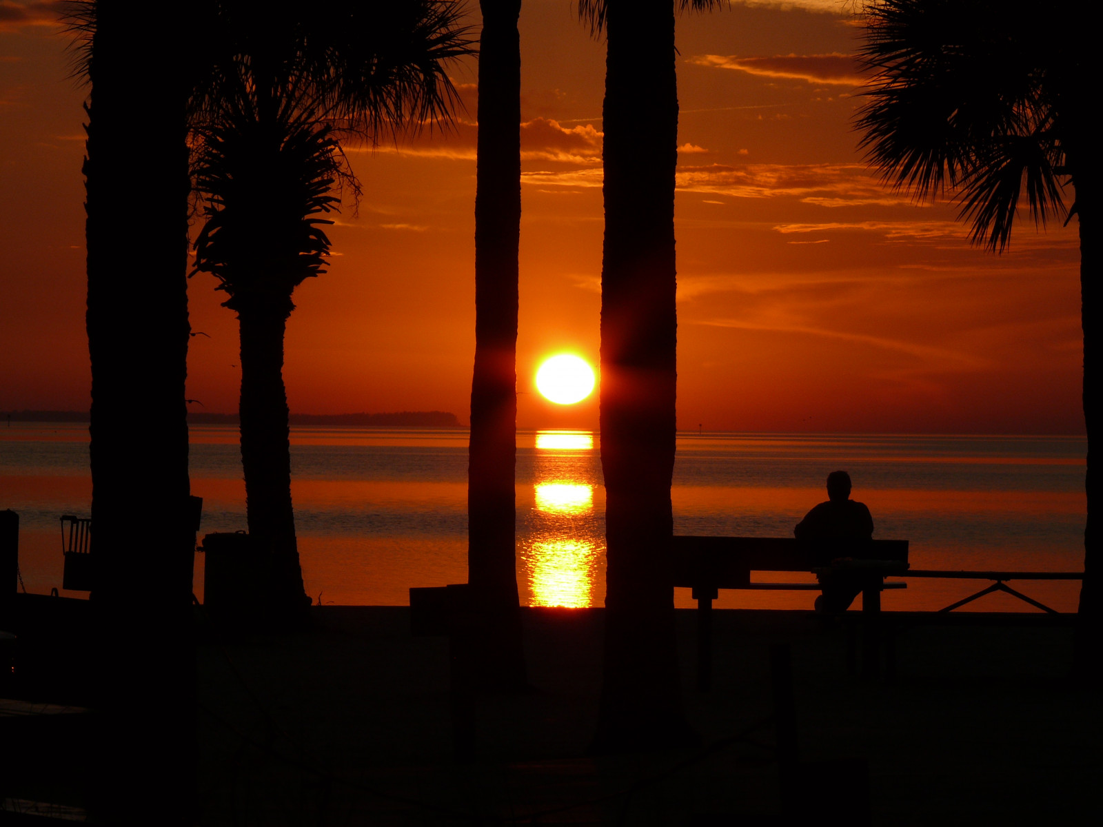stromy, temný, západ slunce, voda, Příroda, hodinky, Červené, odraz, nebe, silueta, pláž, svítání, uklidnit, žlutý, večer, relaxační, slunce, oranžový, teplo, zlato, soumrak, jasný, koule, záliv, čekání, lesklý, soubor, světlo, klidný, scéna, strom, den, záře, Pohled, svítání, dlaň, nastavení, palmy, odpočinout si, tma, fotky, anawesomeshot, odráží, diamondclassphotographer, flickrdiamond, ithinkthisisart, landscapesdreams, nádherný západ slunce, bestofflickr, dlaněmi, naturessilhouettes, wetreflections, solofotos, odlesk, jediný svého druhu, beautifulcapture, floridasunsets, perfectsunsetssunrisesandskys, volná příroda, sillouette, ilovemypic, experimentování, yourpreferredpicture, sunsetcolors, Vodní sprcha všude, Newportrichey, Floridasunset, krásný svět, Krásné, Úžasně, Sunsetshots, Panasoniclumixdmcfz50, Panasonicfzseries, Greenkeybeach, Zenenlightenment, Priscillastarling, Panasoniclumixusers, Skiescloudsandsun, Inspirujícímzdroj, Artisticintegrity, Sepctacularvisions, Flaphotos, Floridapublicbeachesgardensandparks, Posvátný člověk