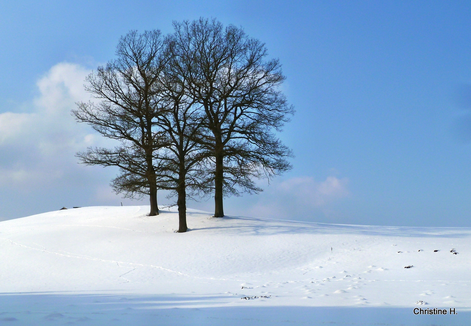 Schnee, zima, sníh, Německo, deutschland, eifel, Nettersheim