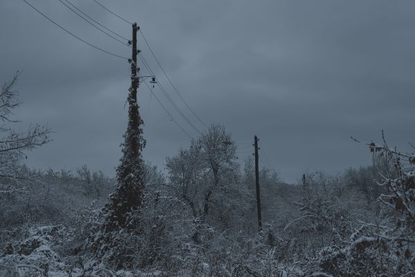 snow,winter,snow covered,overcast,cold