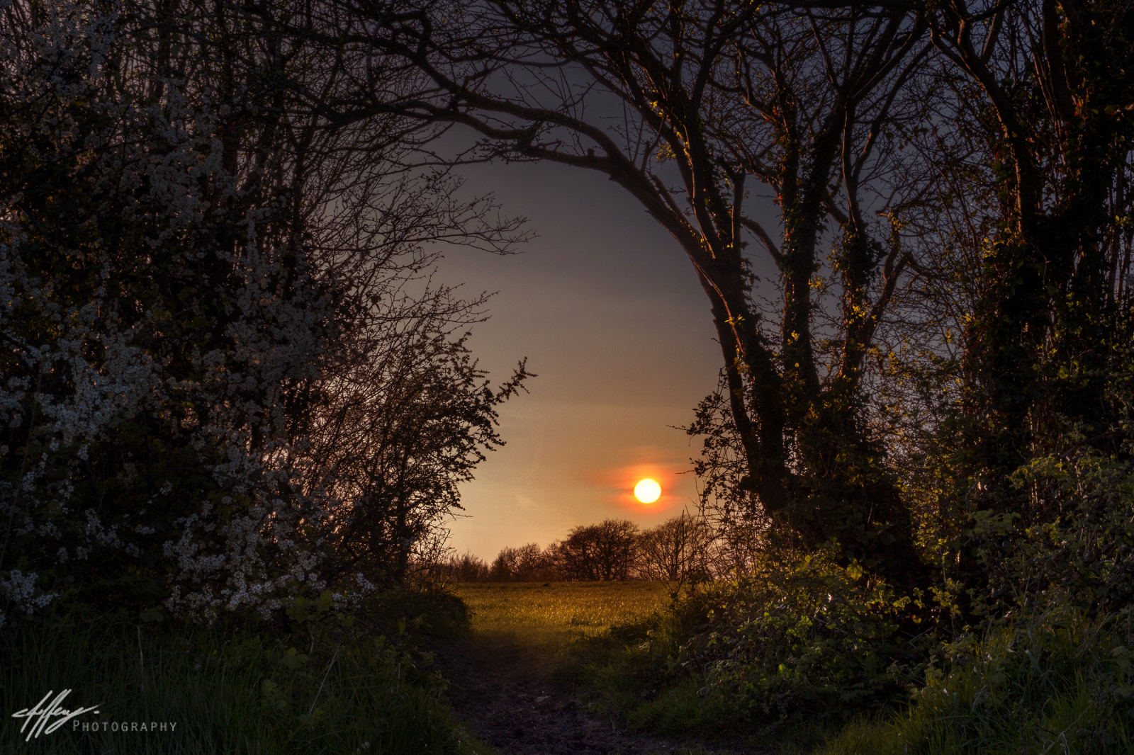 modrý, Chris, západ slunce, nebe, oranžový, slunce, zelená, Tajemství, Wales, mraky, les, svítání, Kánon, objektiv, mimo, fotografování, fotografie, chladný, dlouho, expozice, západ slunce, hospodařit, jižní, prozkoumat, pole, 1855mm, EFS, zakletý, Jeffery, 550D