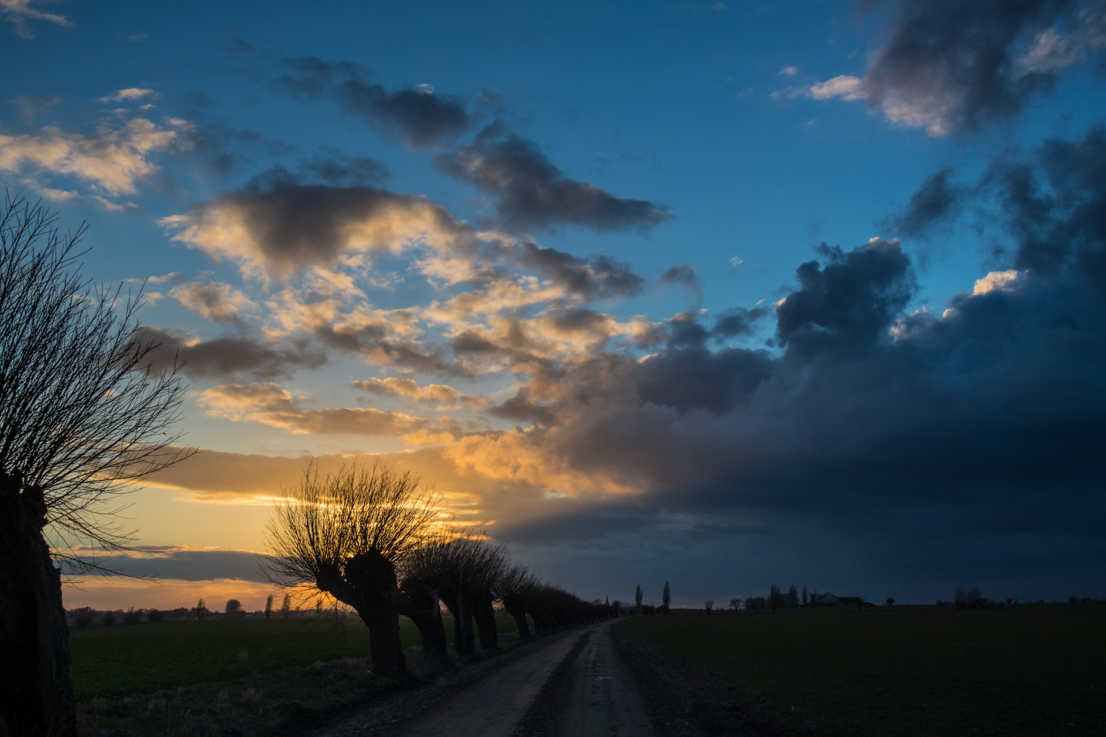 slunečnímu záření, krajina, západ slunce, Příroda, nebe, pole, svítání, večer, ráno, slunce, horizont, atmosféra, soumrak, Vrba, mrak, strom, svítání, nebe, solnedg ng, tr d, sk ne, venkov, moln, landsbygd, s dersl tt, landskap, pilar, PIL, piltr d, piletr d, atmosférický jev, odlesk, meteorologický jev