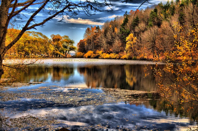 Yansıma,Su,doğa,Yaprak,Vahşi doğa,sonbahar