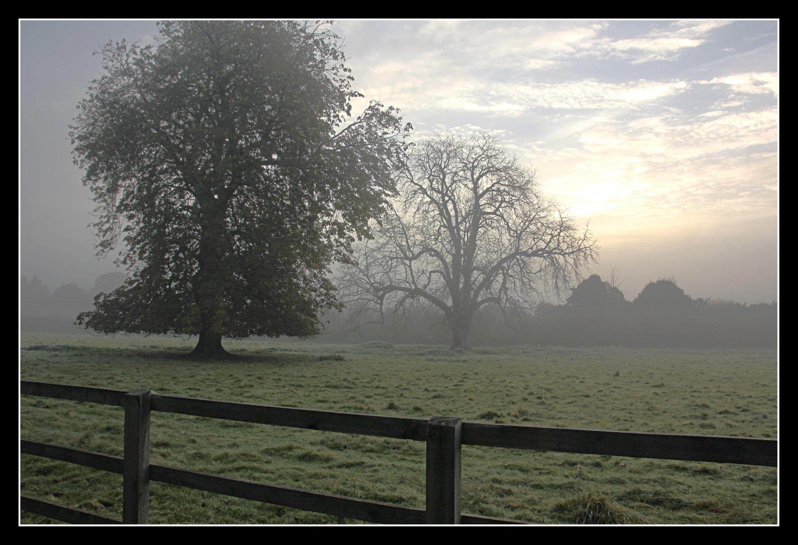 slunečnímu záření, stromy, Příroda, tráva, nebe, pole, mraky, svítání, večer, ráno, mlha, horizont, atmosféra, mlhavý, mrak, strom, podzim, mlha, počasí, svítání, rostlina, thegalaxy, canon60d, panasonicdmctz3, atmosférický jev, dřevina, cotswolds, oplocení