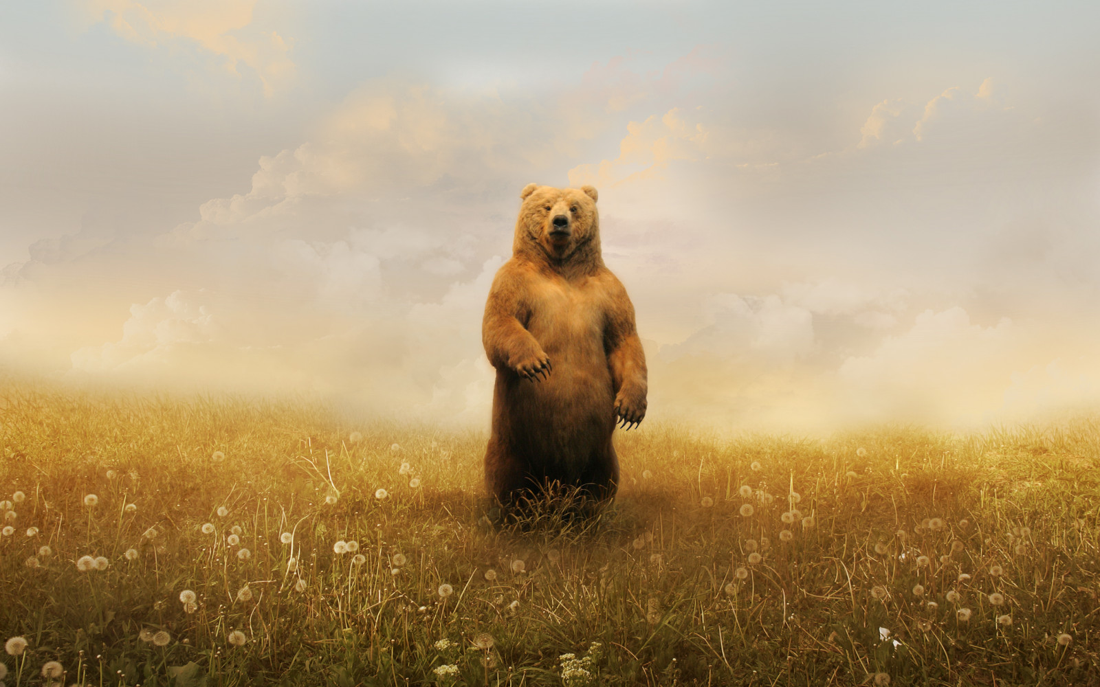 тапети : слънчева светлина, пейзаж, дигитално изкуство, Photoshop ...