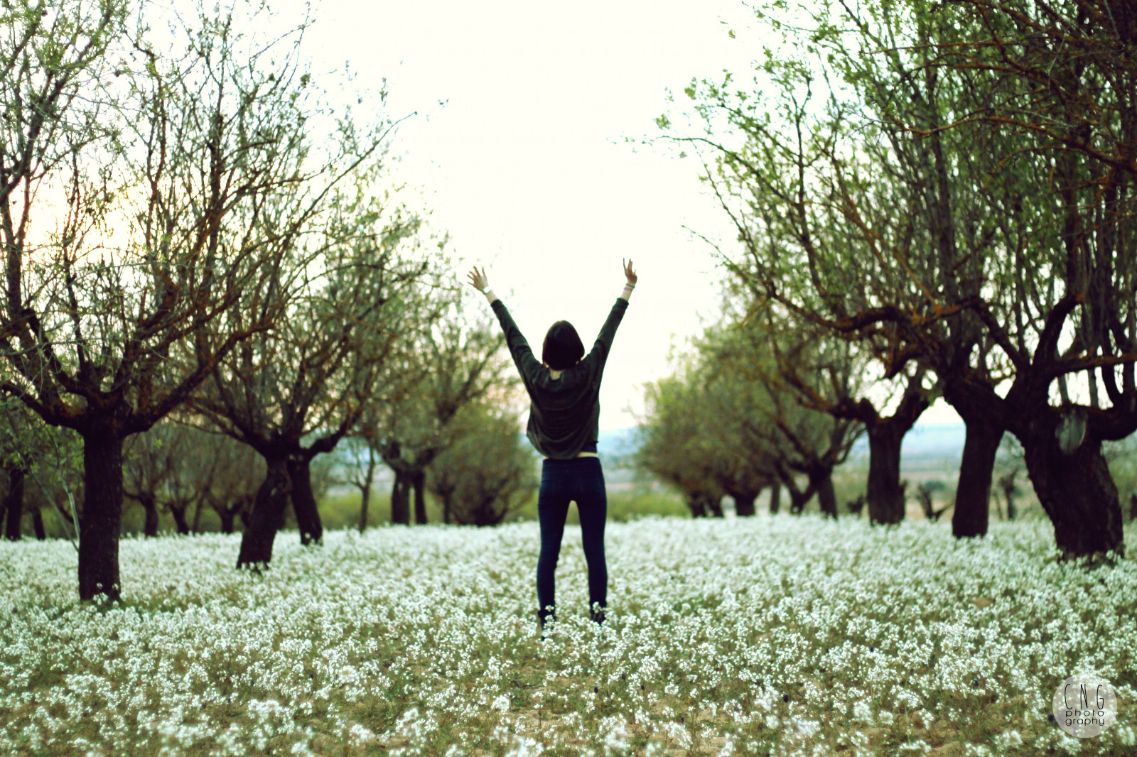 květiny, nebe, bílý, flores, strom, zelená, dívka, tráva, listy, les, Kánon, arbol, Libertad, svoboda, jaro, arboles, Volný, uvolnit, Bosque, campo