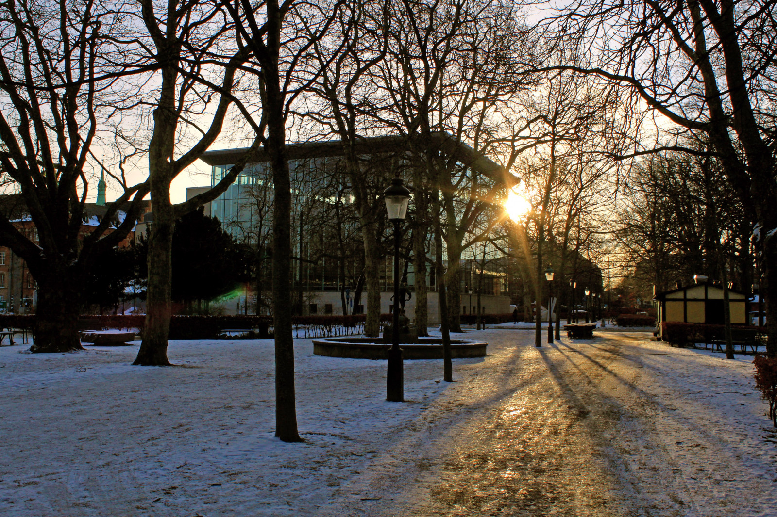 slunečnímu záření, stromy, západ slunce, město, ulice, noc, Příroda, budova, nebe, park, sníh, zima, večer, ráno, hrad, slunce, světlo, strom, centrum, podzim, počasí, sezóna, osvětlení, větve, Malmo, Slottsparken, Malmo hus, urban area, sousedství