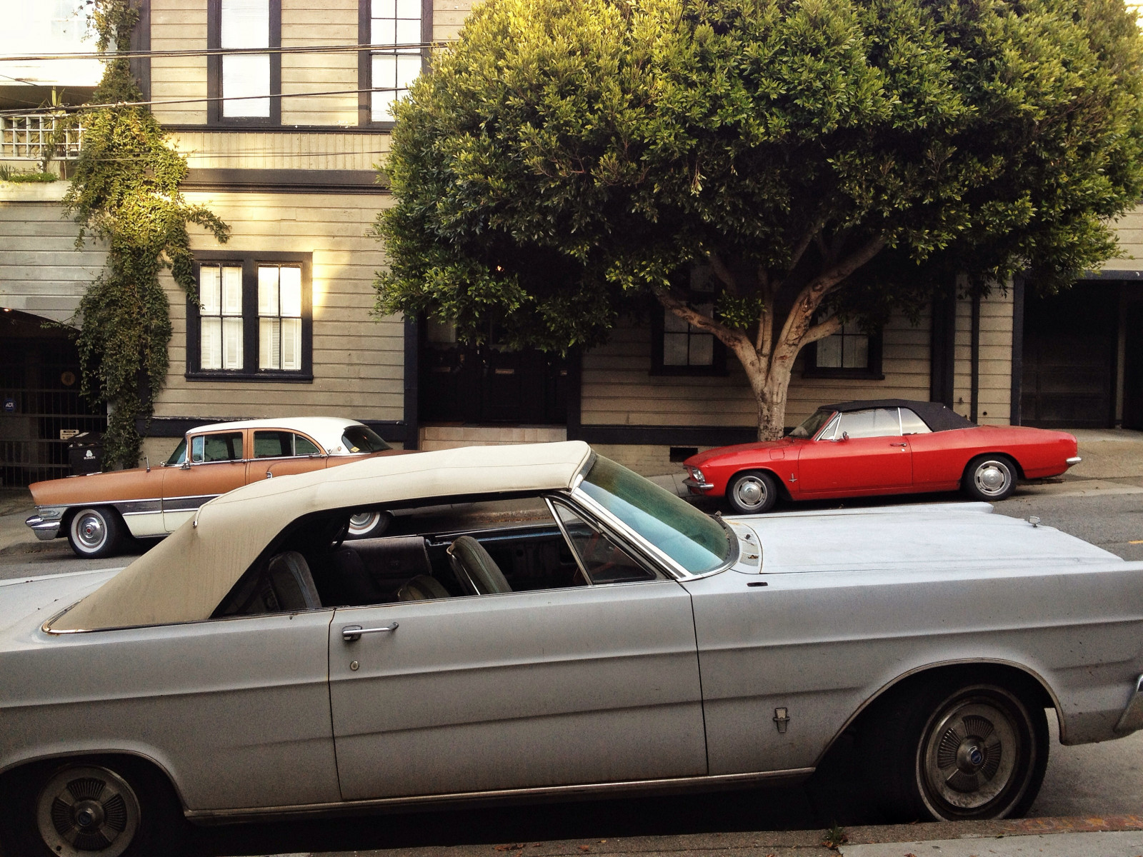 krajina, město, ulice, auto, městský, Červené, vozidlo, Buick, vinobraní, Brod, klasická auta, okolí, Chevrolet, Konvertibilní, horká kola, Chevy, limuzína, nostalgie, strom, Pohled, prozkoumat, nahrané flickrmobile, flickriosapp filtr nofilter, auto, klasický, sf, zaparkoval, hardtop, sanfrancisco, automobilového designu, automobilový exteriér, motorové vozidlo, starožitný auto, v plné velikosti vůz, cestování v čase, Corvair, Oldiron, automotive wheel system