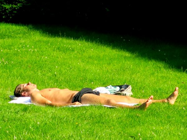 Sun,man,male,grass,underwear,short