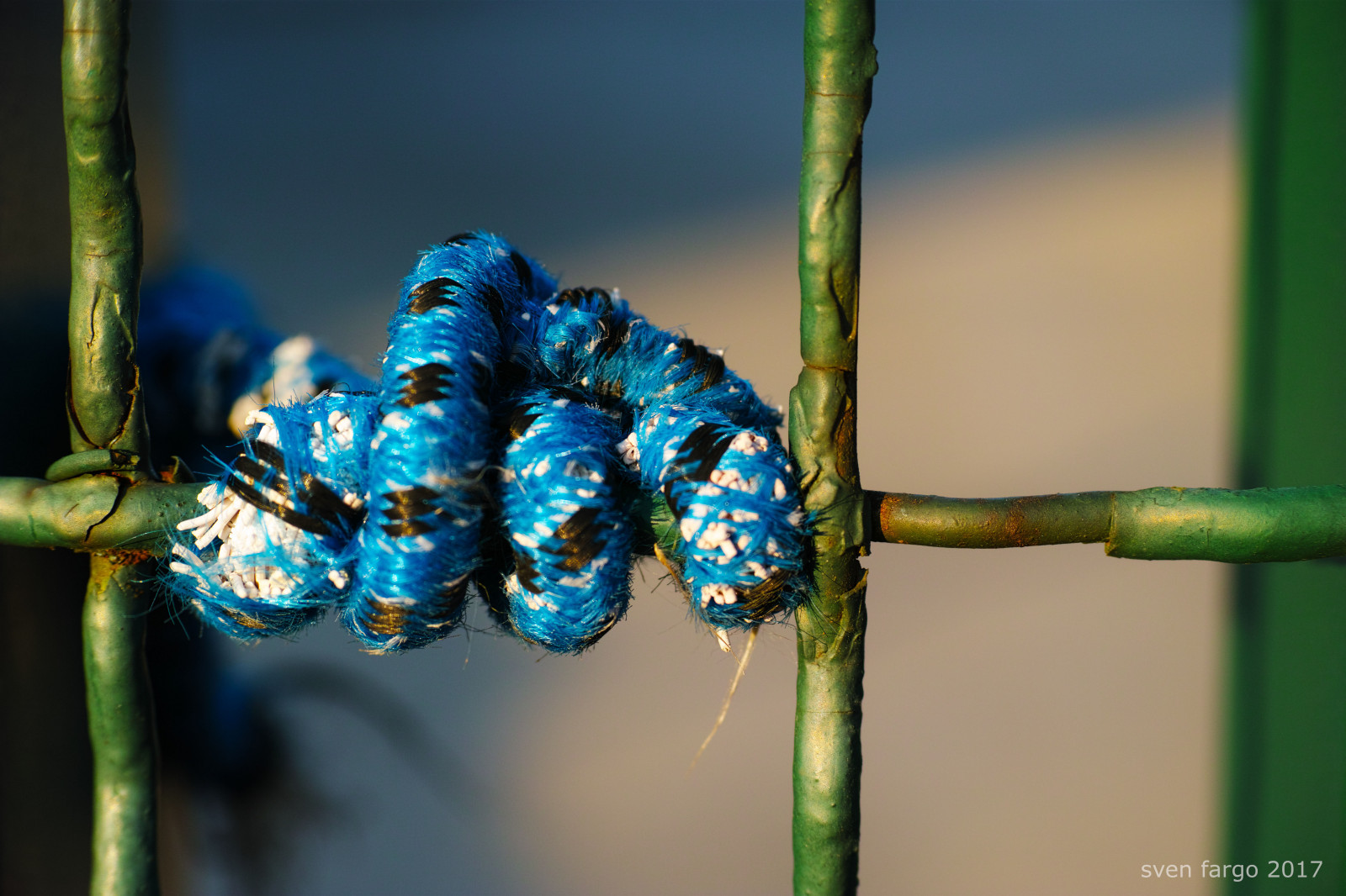 Stadt, Straße, abstrakt, Natur, Minimalismus, städtisch, Fotografie, Ast, Insekt, Grün, blau, Quattro, Österreich, Wien, KUNST, Farbe, Blatt, Blume, Flora, Streetphoto, Detail, minimal, Sigma, Streetphotos, Fauna, Wien, Osterreich, ungerade, Nahansicht, Makrofotografie, Pflanzenstamm, wirbellos, Maurill, Dp3, Gefunden, Mnmlsm, Minimal