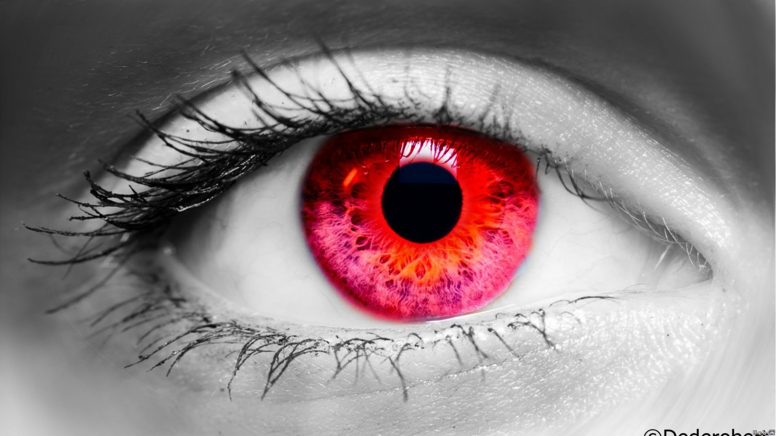 Wallpaper : 2133x1200 px, eyes, red, selective coloring 2133x1200 ...