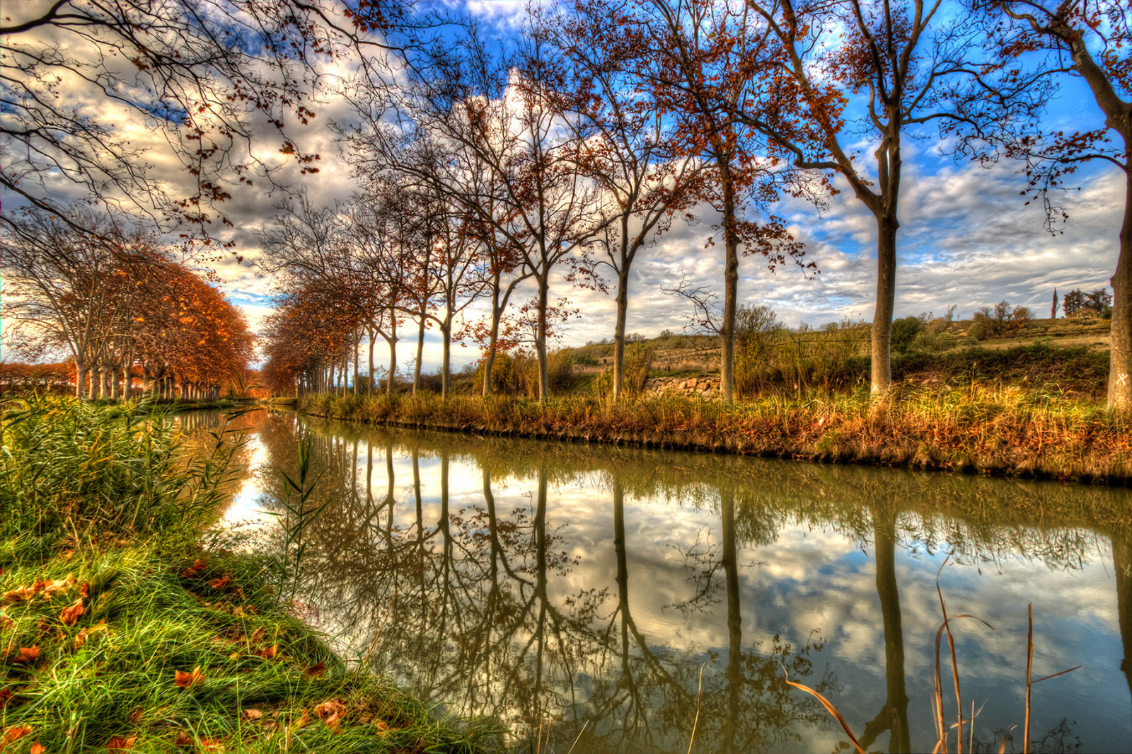 sollys, landskab, sø, vand, natur, afspejling, græs, himmel, vinter, Mark, afdeling, aften, flod, HDR, Dam, forår, kanal, Bank, vådområde, Sky, træ, efterår, blad, plante, vandløb, vandveje, græs familie, h Rault, Languedoc-Roussillon, canaldumidi, Capestang