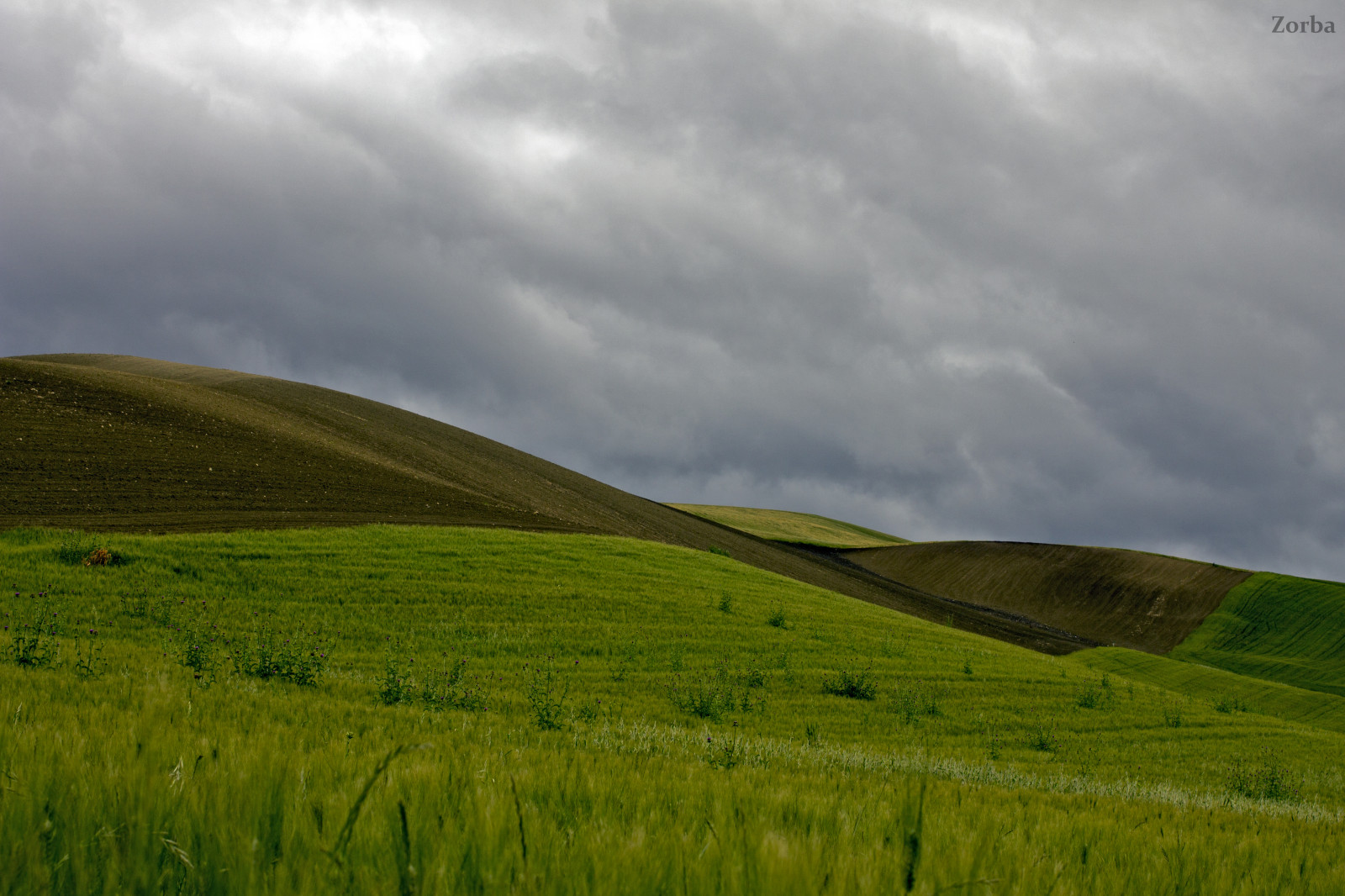 krajina, kopce, Colline, processione, Foggia, canon1100