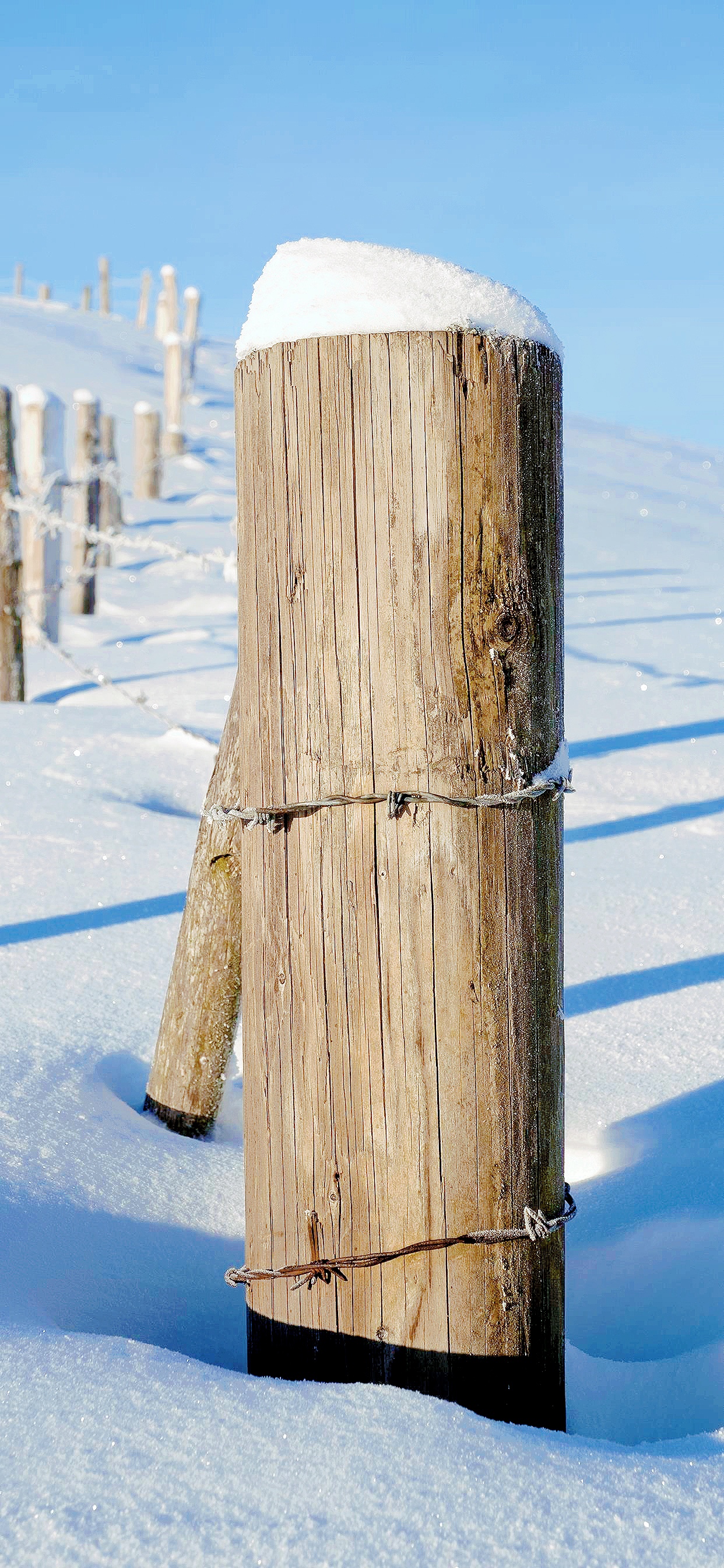 ธรรมชาติ, หิมะ, โทรศัพท์มือถือ, แนวตั้ง, ฤดูหนาว