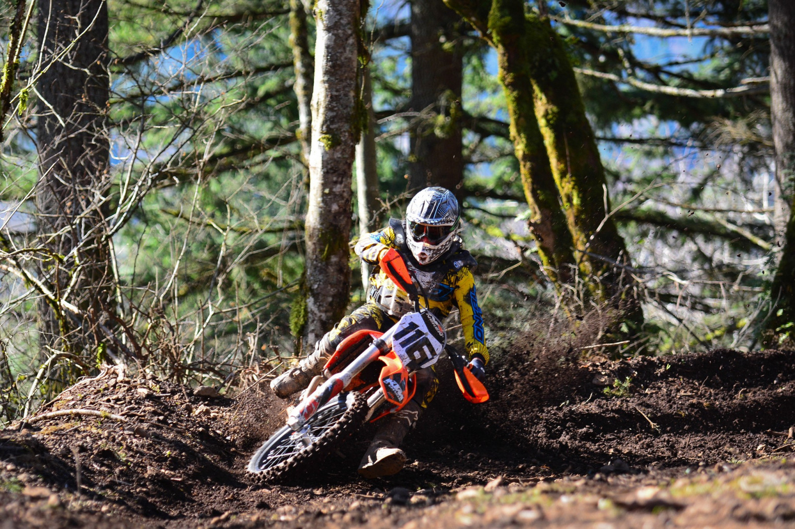 Wallpaper forest, vehicle, jungle, path, motocross, KTM, enduro, Downhill mountain biking