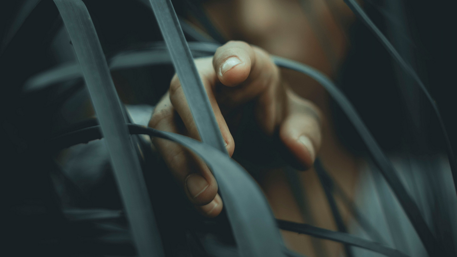 Příroda, rostliny, ženy, gesto ruky, fotografování