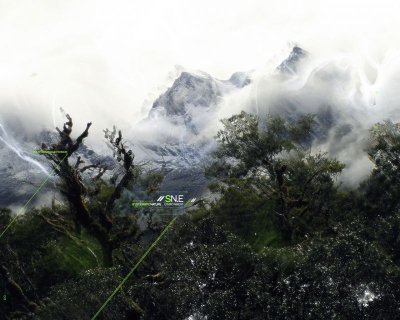 artwork, mist, forest, hill, nature, wilderness artwork, mist, forest, hill, nature, wilderness