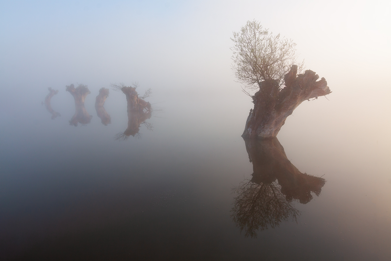Wallpaper Jaskula Jan, landscape, mist, reflection, tree stump, water