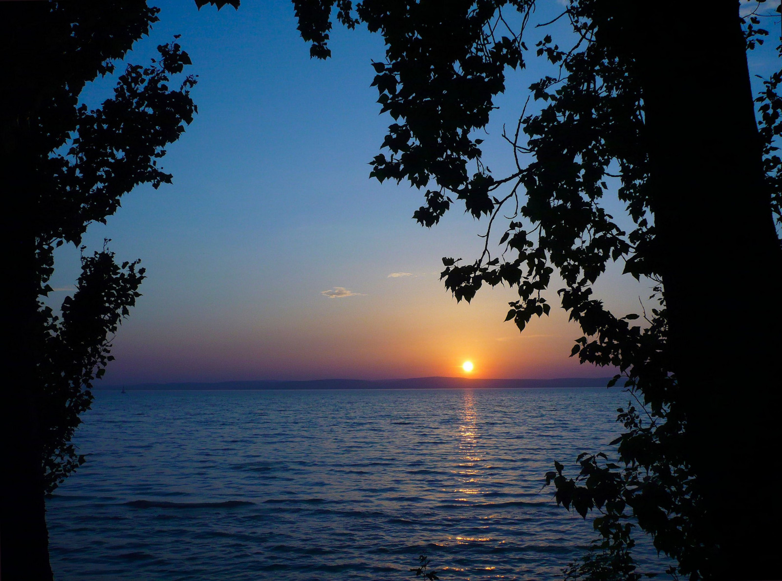 slunečnímu záření, západ slunce, moře, jezero, voda, Příroda, odraz, nebe, svítání, večer, ráno, slunce, horizont, soumrak, Maďarsko, mrak, strom, svítání, flickraward, rememberthatmomentlevel1, natureplus, yourbestoftoday, supershot, paololivornosfriends, Balaton, Balatonaliga