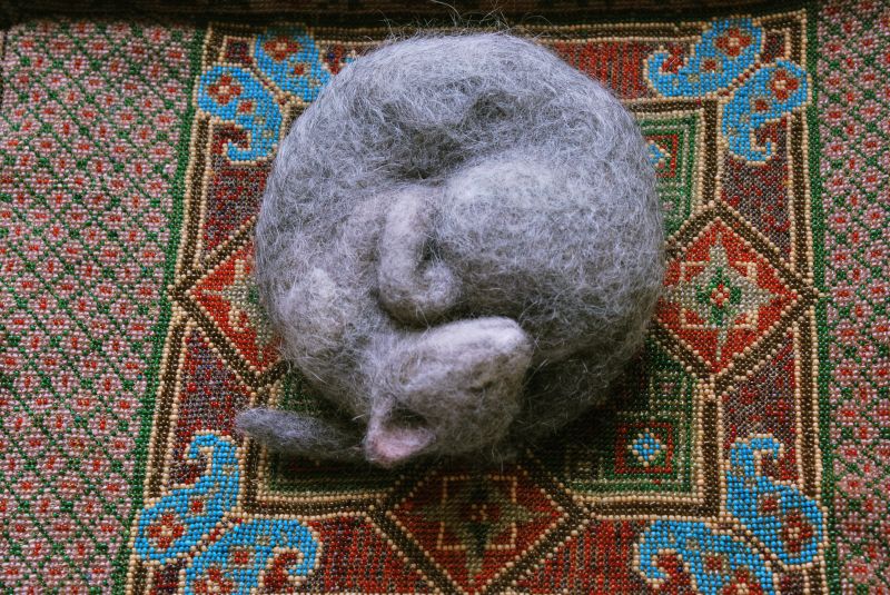 fauna, hlava, UMĚNÍ, organismus, textil, chrám