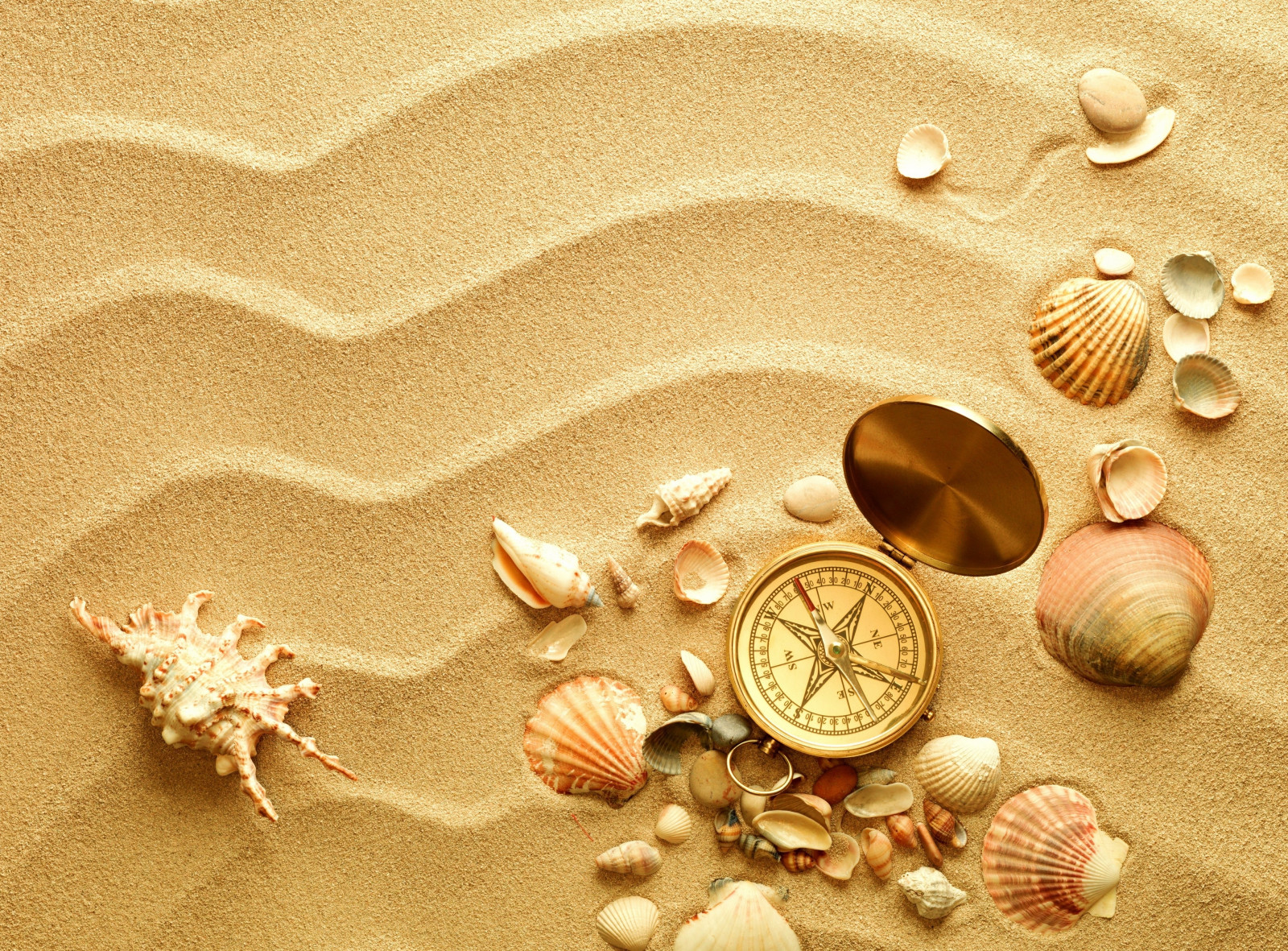 Wallpaper : sand, metal, gold, compass, seashell, material, shells