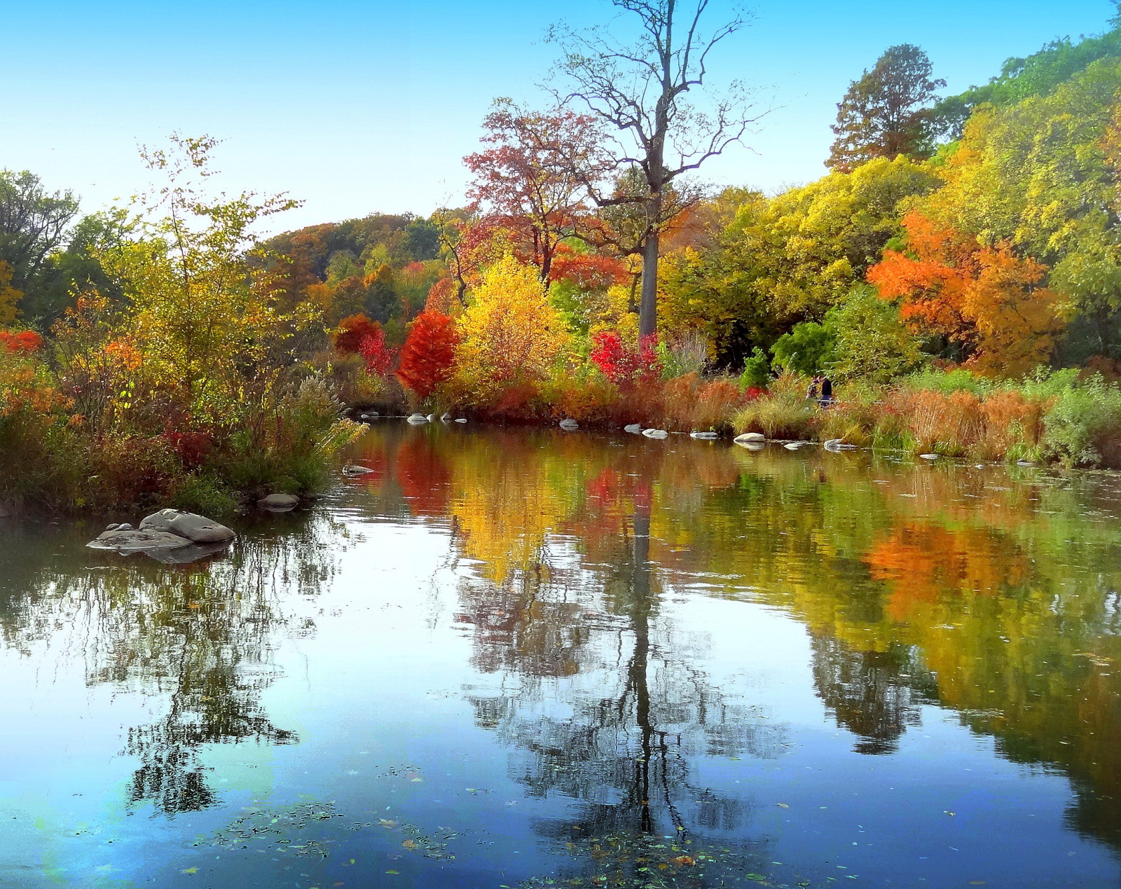 Wallpaper : autumn, newyork, reflection, Brooklyn, image, prospectpark ...