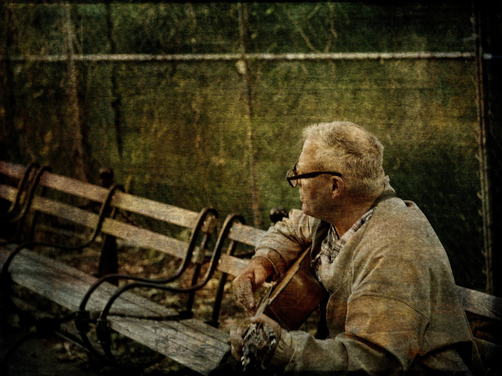 kytara, hudební nástroj, voják, hudebník, Manhattan, strom, newyork, textury, olympusem5, Greenwich Village, garryvelletri, strunný nástroj, dechový nástroj, větrný nástroj, washingtonsquarepark, human behavior