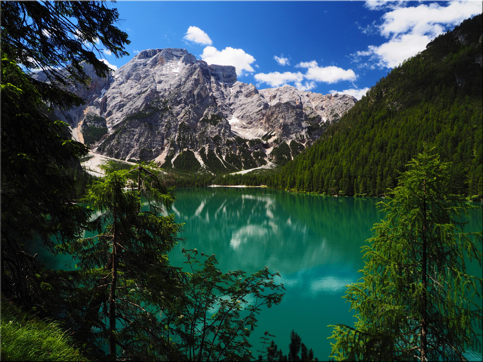 Fond d écran : paysage forêt Italie la nature