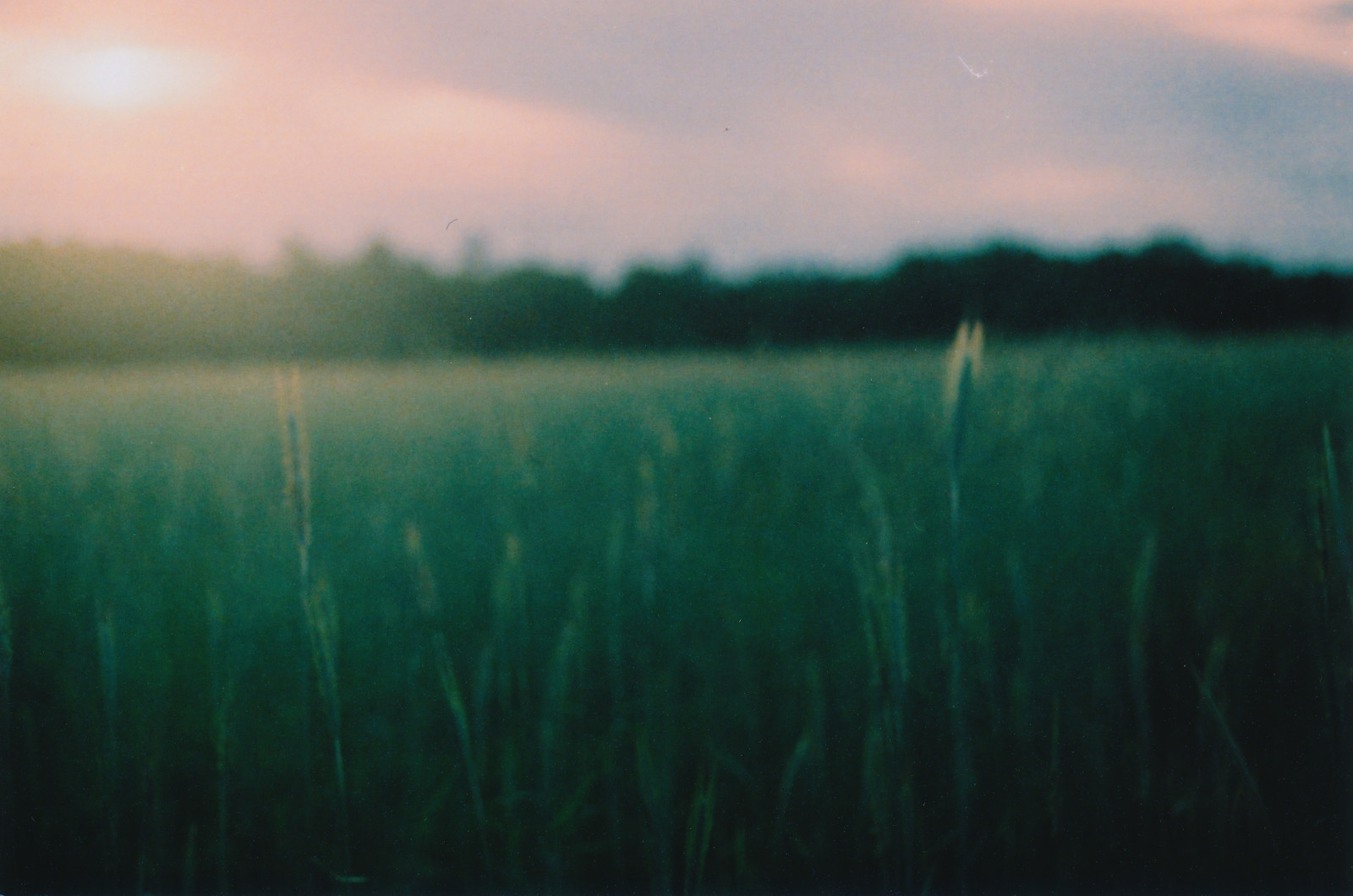 film, analogový, 35MM, xPRO, crossprocessed, slidefilm, softfocus, wolfram, expiredfilm, canonftb, Westernmass