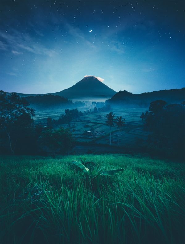 nature,trees,mountain top,leaves,valley,Moon