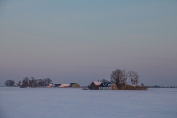 sea,bay,shore,lake,snow,winter