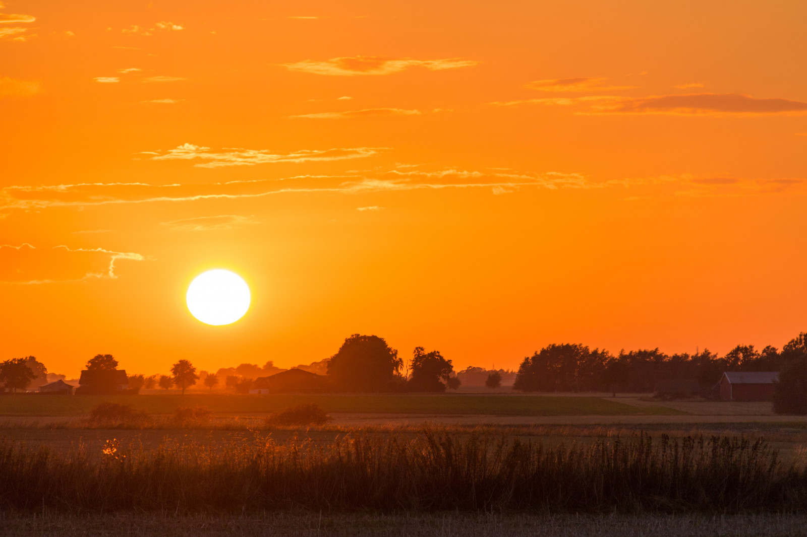 slunečnímu záření, krajina, západ slunce, nebe, pole, svítání, večer, ráno, slunce, horizont, soumrak, mrak, svítání, lučina, zlatá hodina, nebe, solnedg ng, venkov, moln, landsbygd, s dersl tt, landskap, exif modelu canoneos760d, geocountry, Kamera aby kánon, geocity, Model fotoaparátu canoneos760d, geostate, geolocation, EXIF čočka efs18200mmf3556is, exif aby kánon, EXIF isospeed 100, EXIF otvor 63, exif focallength 175mm, gyllenetimmen, prostý, prérie, atmosférický jev, odlesk, červená obloha v dopoledních hodinách