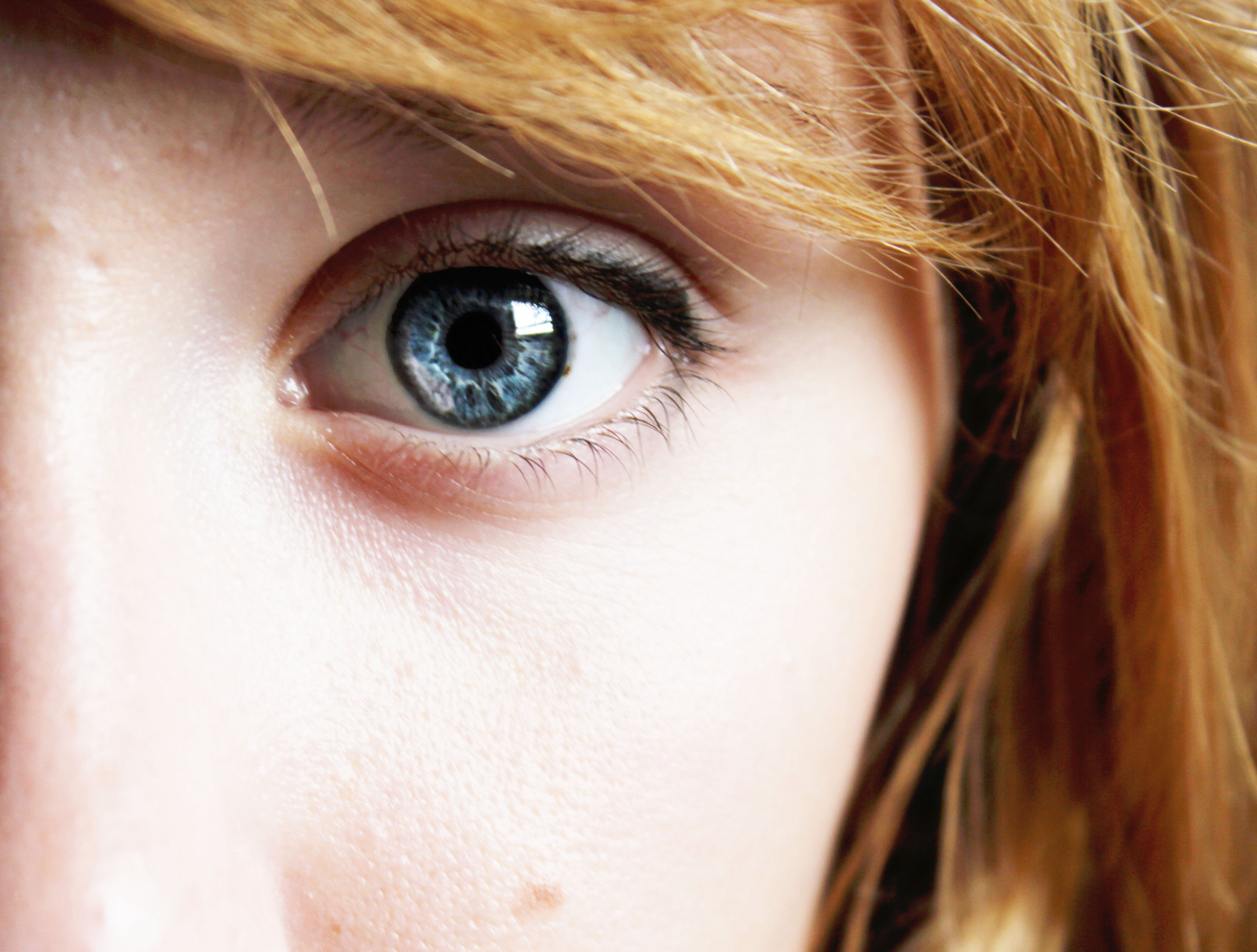 ansigt, blond, langt hår, briller, fotografering, Brun, hår, mund, næse, hud, hoved, pige, skønhed, øje, tumblr, læbe, blond, frisure, brunt hår, øre, øjenbryn, menneskelige legeme, vision pleje, organ, tæt på, øjenvipper, eyelash extensions, finaler, has, collegetime