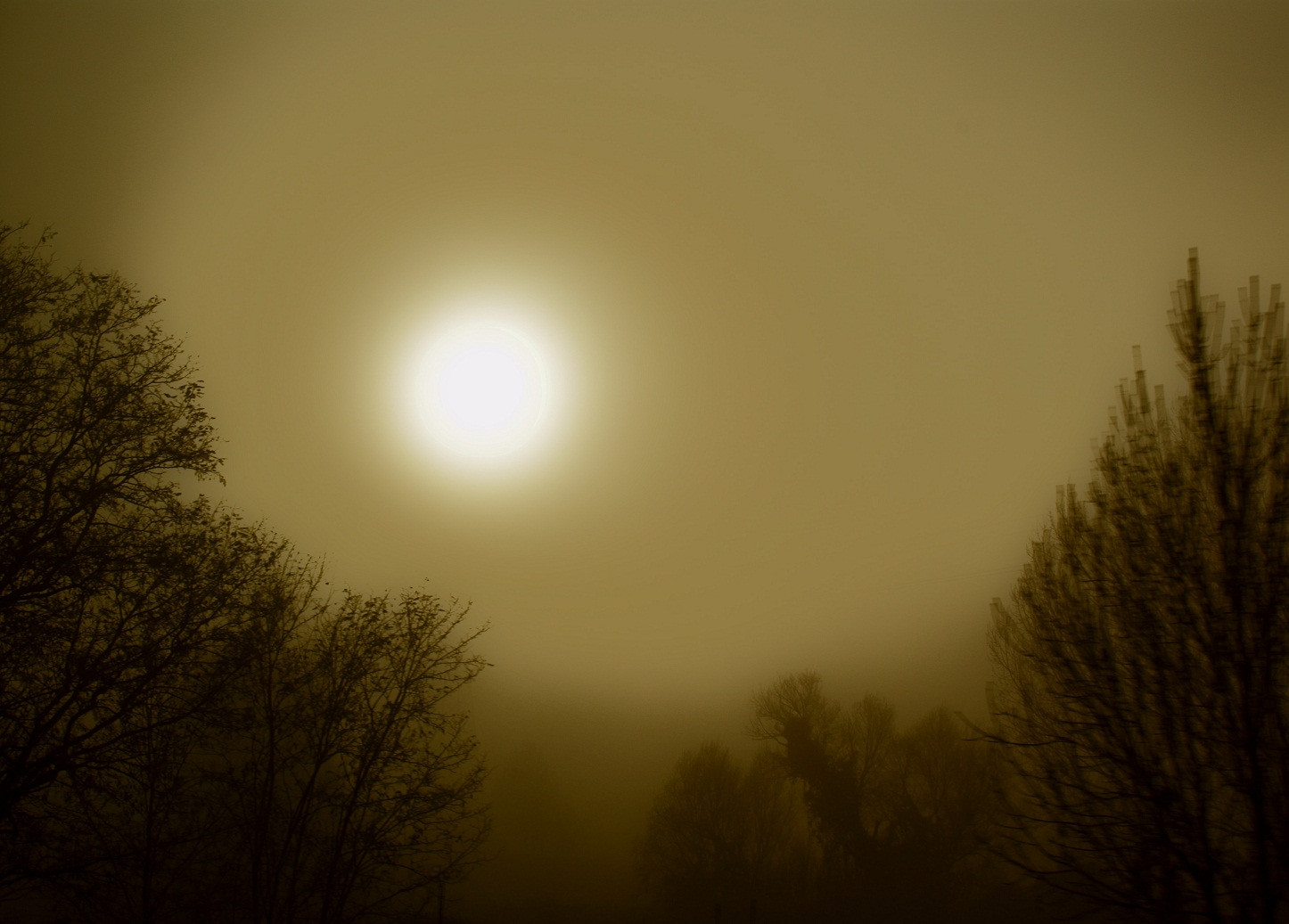 luce del sole, paesaggio, foresta, notte, cielo, ramo, Alba, calma, sera, mattina, nebbia, Sole, Spagna, Sony, atmosfera, Barcellona, foschia, mezzanotte, Sol, niebla, Catalogna, Catalunya, nube, albero, nebbia, giorno, alba, mygearandme, arbol, oscurità, arbre, alfa, mygearandmepremium, giorno, olo tusfotos, a300, espanya, espana, sfondo del computer, atmosfera della terra, oggetto astronomico, vic, evento celeste, fenomeno, dslra300, joangarciaferre, gemicr, gemicr69, Boira, cataluna, Osona