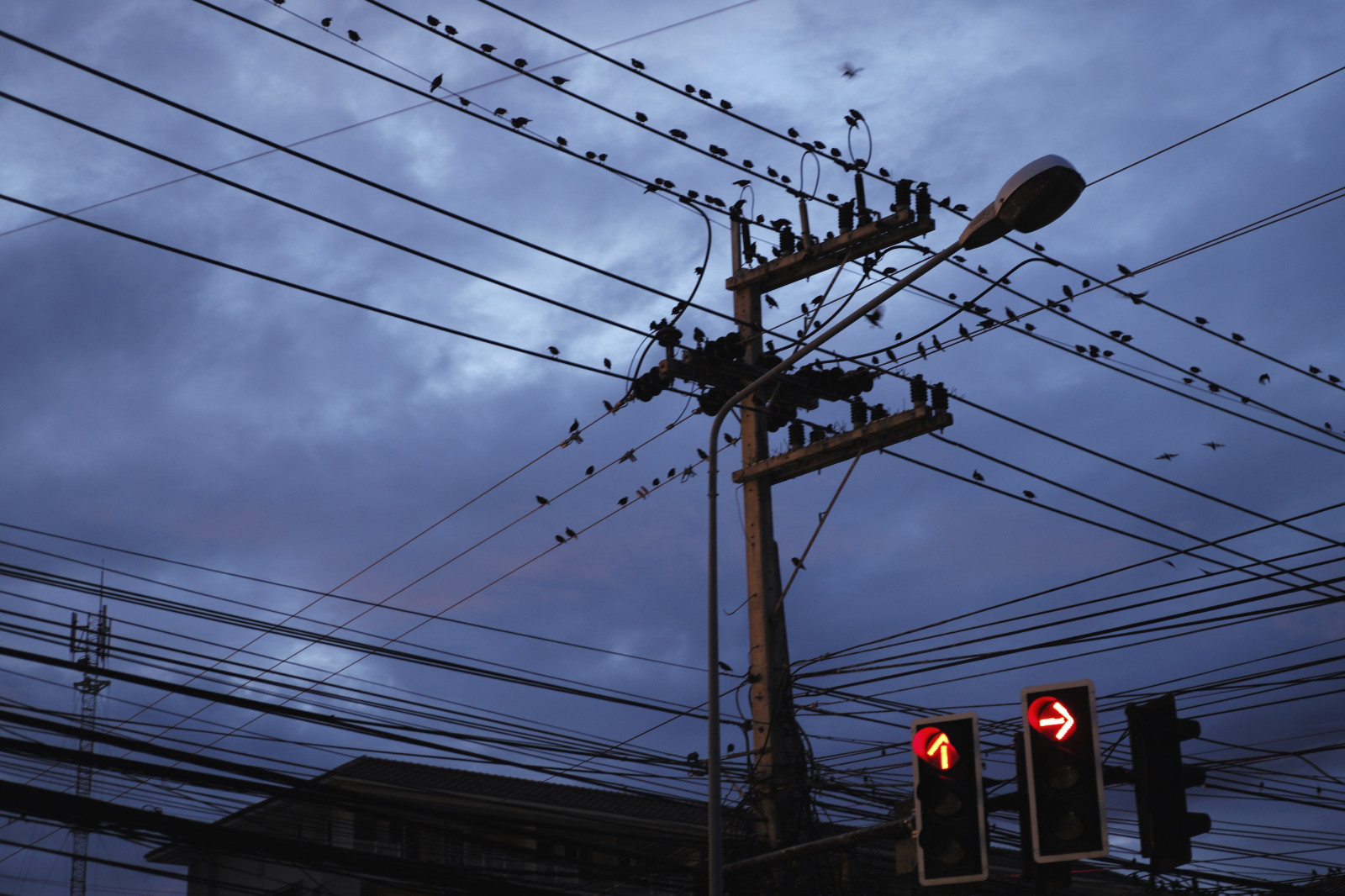 ไฟถนน, นก, ท้องฟ้า, ภาพเงา, สีน้ำเงิน, หอคอย, พลบค่ำ, ประเทศไทย, Leica, ไฟฟ้า, หอส่งสัญญาณ, เบา, การท่องเที่ยว, แสง, สี, รูปร่าง, บรรทัด, เสา, leicam, โครงสร้างกลางแจ้ง, สายไฟเหนือศีรษะ, แหล่งจ่ายไฟ, หัวหิน