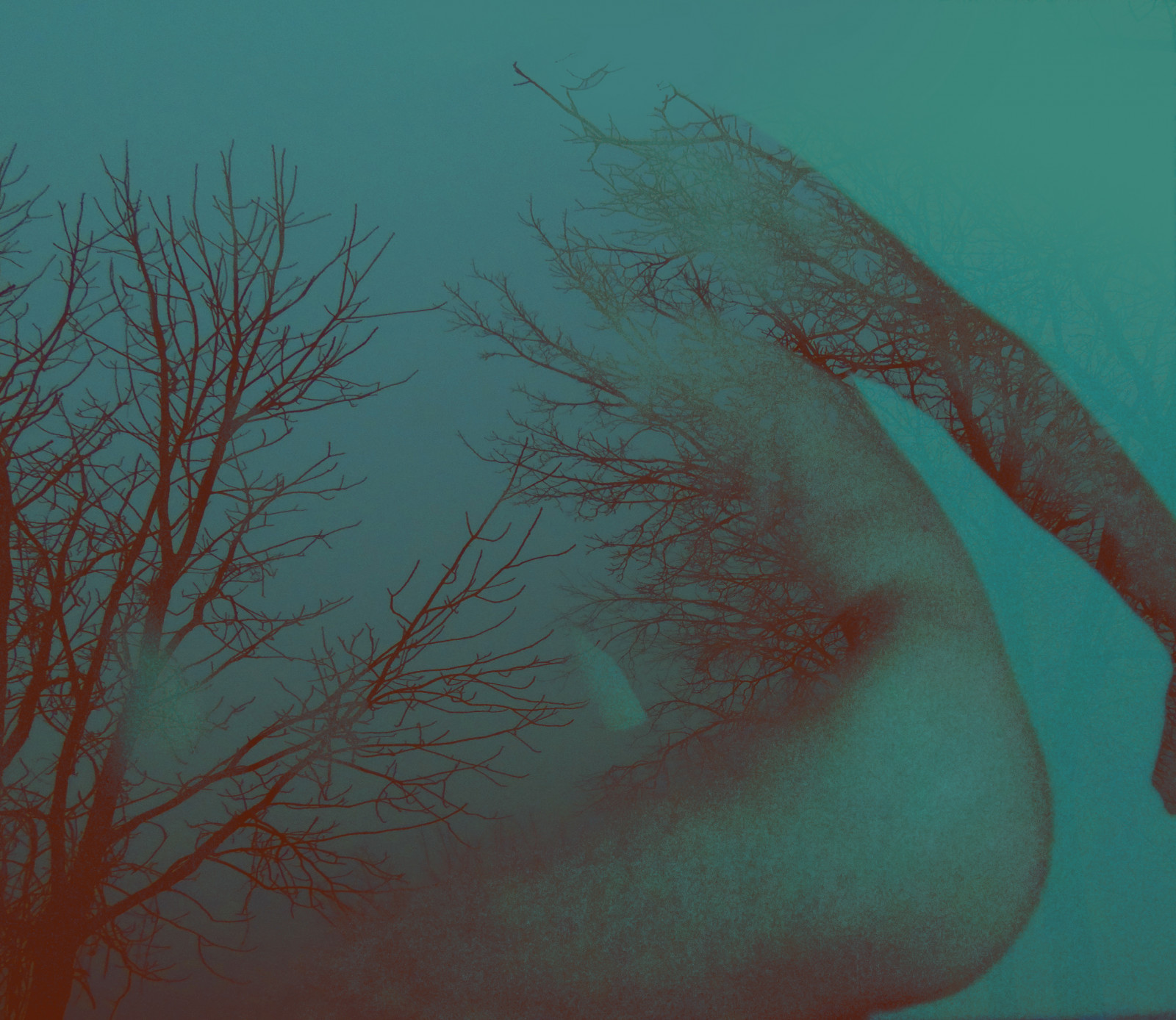 stromy, voda, Červené, zima, zelená, modrý, krev, Pod vodou, ostatky, žíly, tyrkysová, akt, strom, tělo, útes, autoportrét, mořská biologie, organismus, selfpicture, treeswithoutleaves, bonesoftrees, Onflickr, oběhový systém, Abstraktní tělo, Systémacircolatorio, Lemacchie, Hrudníku, Photographicmashup