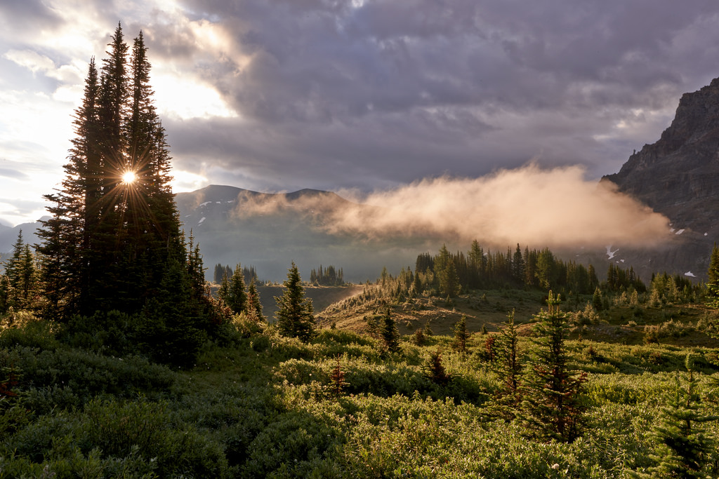 slunečnímu záření, stromy, krajina, les, bílý, Černá, hory, kopec, Příroda, Červené, tráva, nebe, sníh, svítání, zelená, žlutý, modrý, večer, ráno, slunce, oranžový, atmosféra, Kanada, národní park, divočina, šedá, mount scenérie, jehličnatý strom, mrak, paprsky, strom, mlha, hora, svítání, rostlina, uNESCO, vegetace, louka, sluneční paprsky, skalnaté hory, unescoworldheritage, vysočina, Britská Kolumbie, horských reliéf, mírné jehličnatý les, biome, pohoří, stanice hill, meteorologický jev, křoviny, borovice rodina, Kanada, mountassiniboineprovincialpark, thematterhornofnorthamerica, spruce fir forest, tropical and subtropical coniferous forests