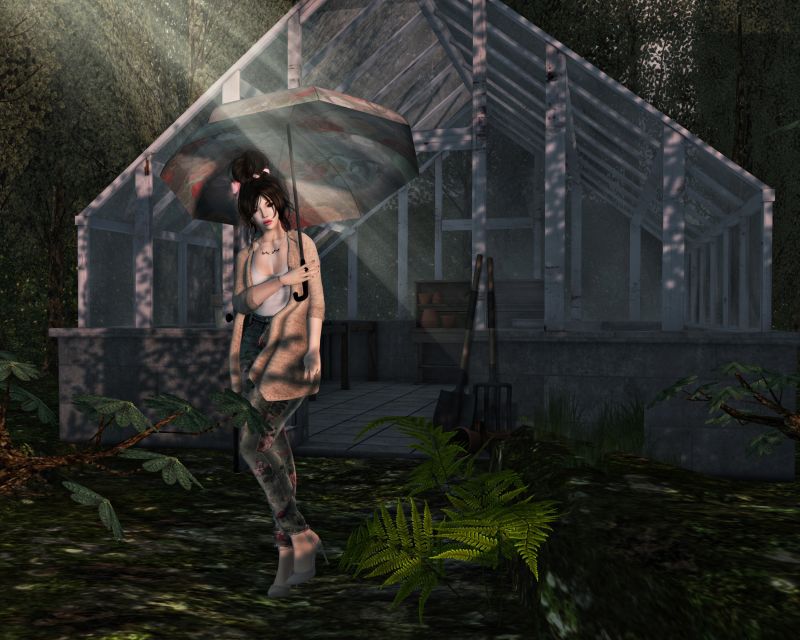 dívka, strom, jev, tma, Snímek obrazovky, tráva