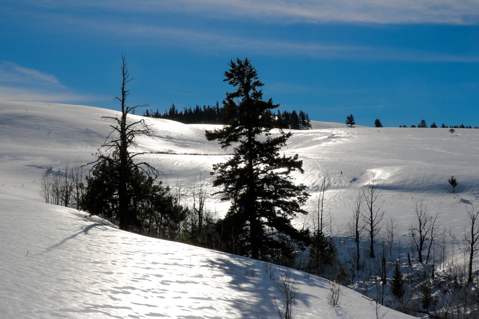 landskab, bakke, natur, afspejling, himmel, udendørs, sne, vinter, is, morgen, frost, spejl, horisont, ødemark, Alperne, gran, Fryser, blænding, topmøde, tundra, nåletræ, ryg, Terræn, Sky, træ, bjerg, plante, solskin, Massif, piste, vedplante, bjergrige landskabsformer, geologisk fænomen, bjergkæde, iskold landskabsform, vinter sport, meteorologisk fænomen, faldt, fyr familie, sidehill